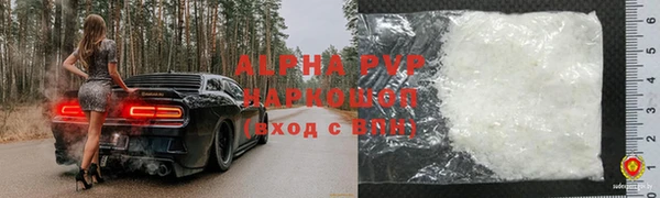 ПСИЛОЦИБИНОВЫЕ ГРИБЫ Михайлов