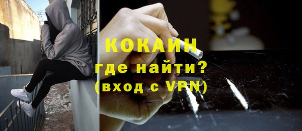 ПСИЛОЦИБИНОВЫЕ ГРИБЫ Михайлов