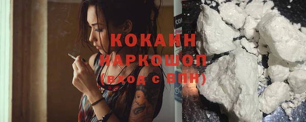 ПСИЛОЦИБИНОВЫЕ ГРИБЫ Михайлов