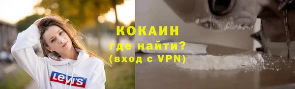 ПСИЛОЦИБИНОВЫЕ ГРИБЫ Михайлов