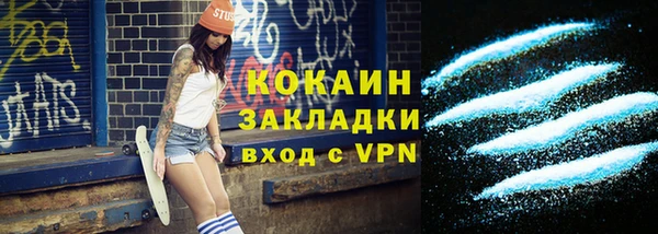 ПСИЛОЦИБИНОВЫЕ ГРИБЫ Михайлов
