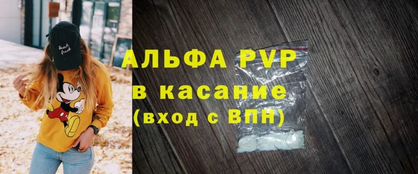 ПСИЛОЦИБИНОВЫЕ ГРИБЫ Михайлов