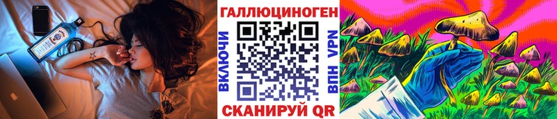 продажа наркотиков  Агрыз  Галлюциногенные грибы Cubensis 