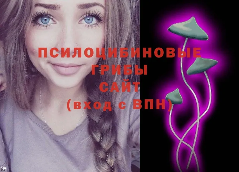 OMG ТОР  Агрыз  Псилоцибиновые грибы Magic Shrooms 